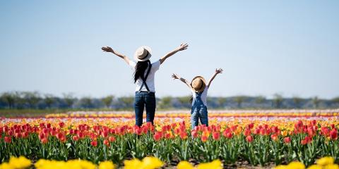 Viráglesen a család - helyszínajánló tavaszi családi kirándulásokhoz