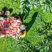 Tavaszi piknik