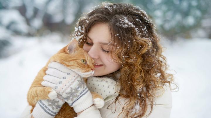 5 tipp macskás gazdiknak a tél közepére